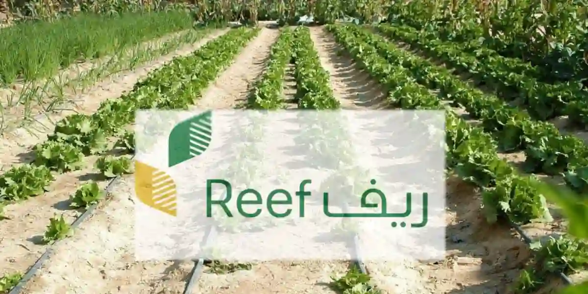 برنامج دعم ريف السعودي لربات البيوت