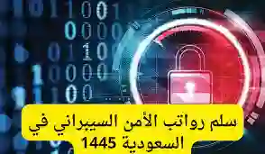 سلم رواتب الموظفين في الأمن السيبراني في المملكة 1445 وخطوات التسجيل