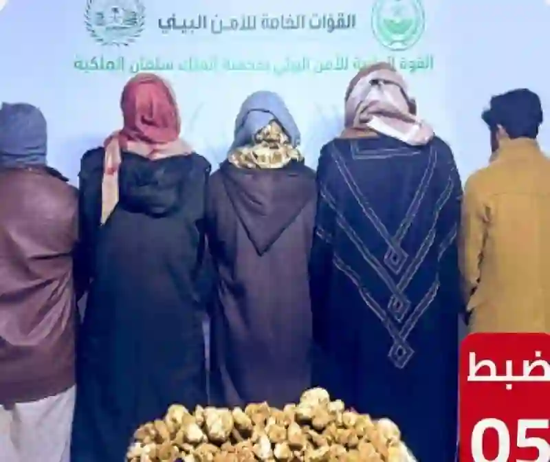 تطبيق هذه العقوبات القاسية بحق كل من يدخل محمية الملك سلمان بدون تصريح 