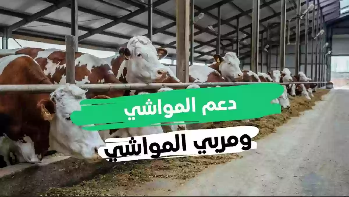 خطوات التسجيل في برنامج دعم الثروة الحيوانية 1445 وشروط الاستحقاق