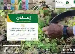 رابط التسجيل في دعم ريف لربات البيوت عبر reef.gov.sa والشروط المطلوبة