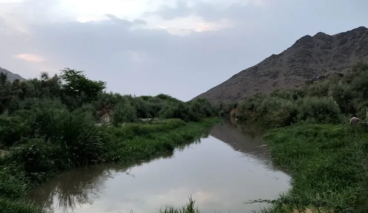 كل ما تريد معرفته عن منتزه البيضاء في المدينة المنورة 