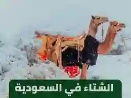 متى ينتهي الشتاء في السعودية 1445؟