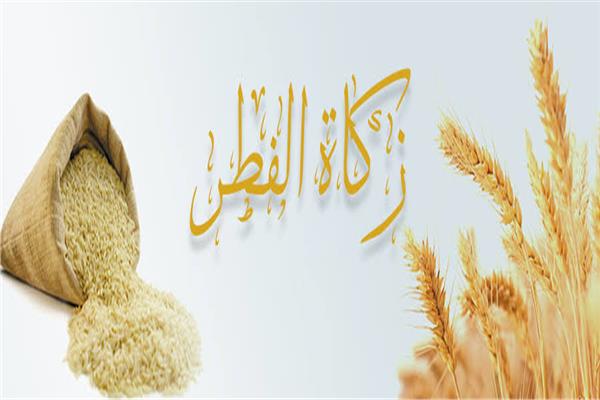 حكم أني أعطي الزكاة للعاملة المنزلية والسائق