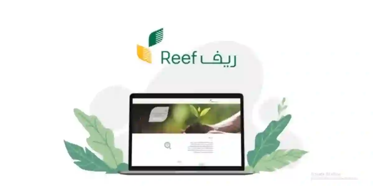 أسباب حالة عدم استحقاق دعم ريف