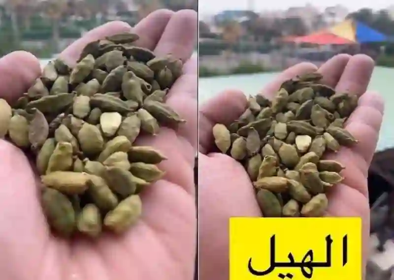 فوائد الهيل