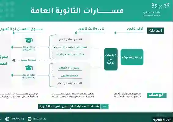 دليل أحسن مسارات الثانوية للطلاب والطالبات